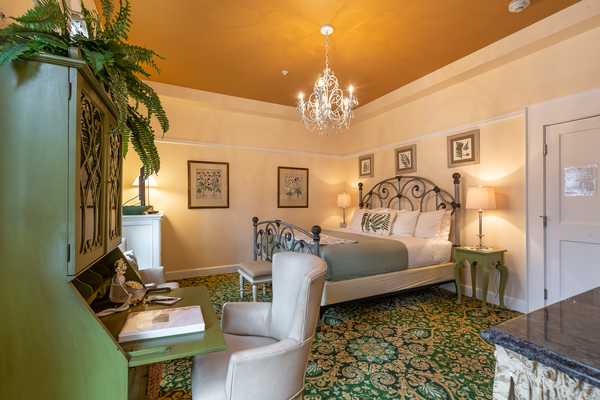 The Fernery - Room 208 Photo 1