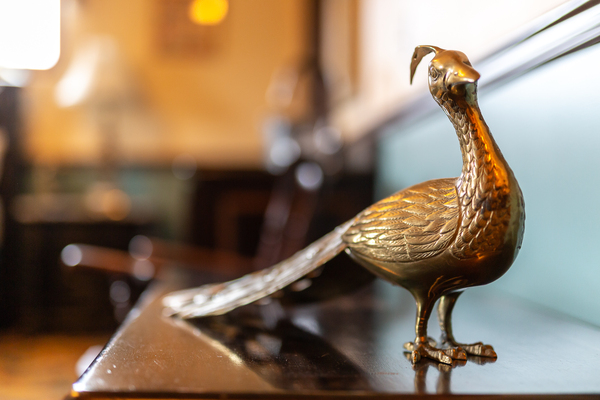 Peacock Room - Room 302 Photo 2